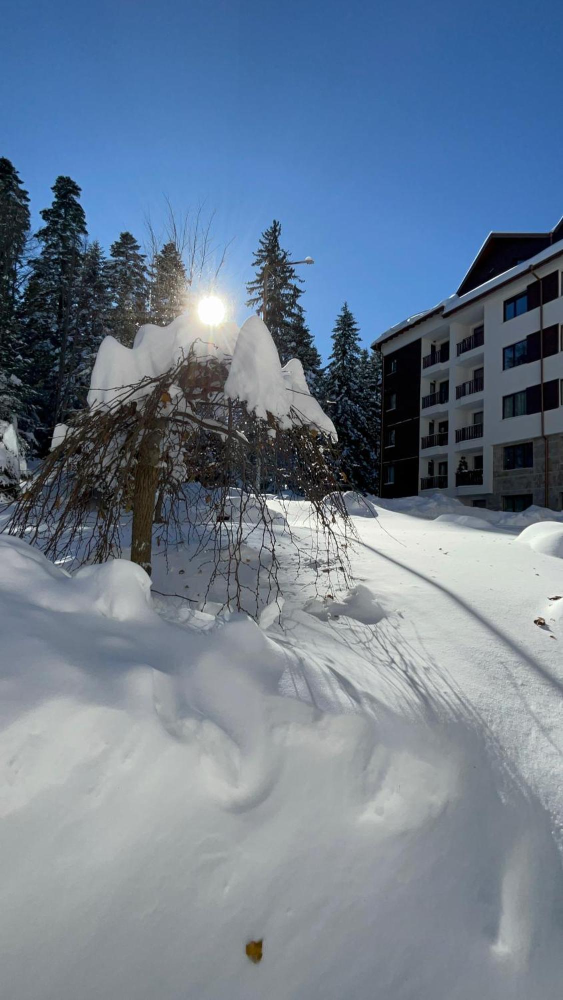Borovets Gardens B21 Morunov Apart Exterior foto